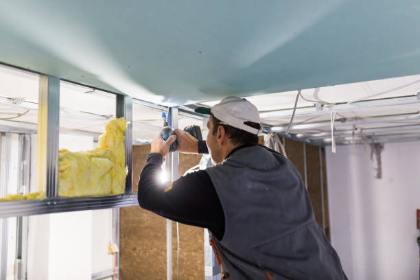 Best DIY Insulation Kits and Guidance in Tazewell, VA
