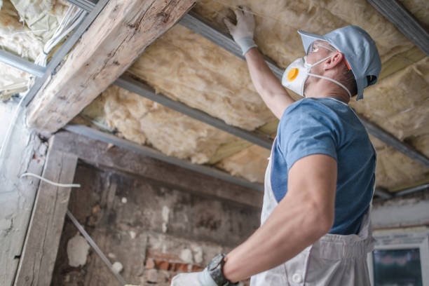 Best DIY Insulation Kits and Guidance in Tazewell, VA
