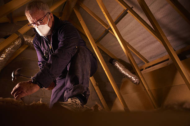 Best Cellulose Insulation in Tazewell, VA