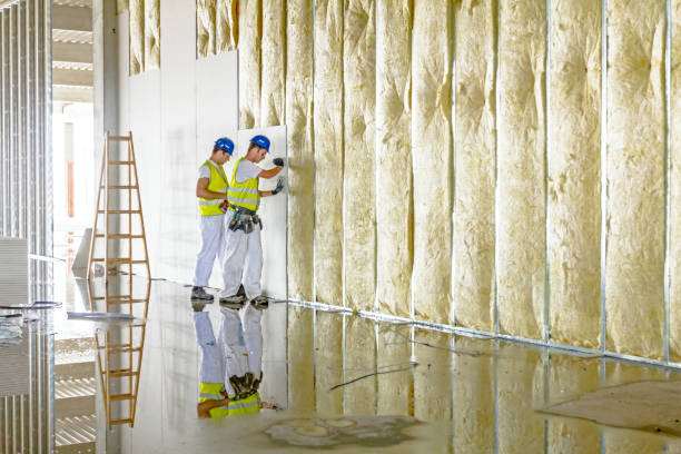 Best Eco-Friendly Insulation in Tazewell, VA
